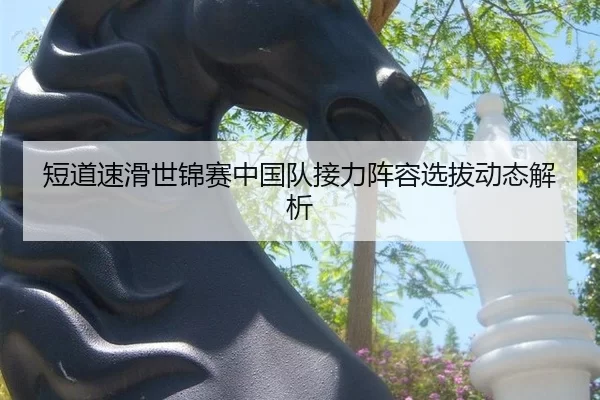 短道速滑世锦赛中国队接力阵容选拔动态解析