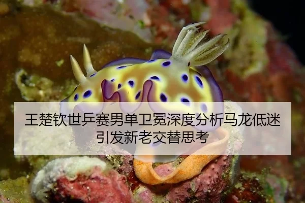 王楚钦世乒赛男单卫冕深度分析马龙低迷引发新老交替思考